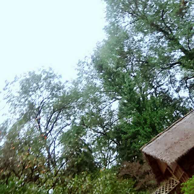 手机用户9817_supw