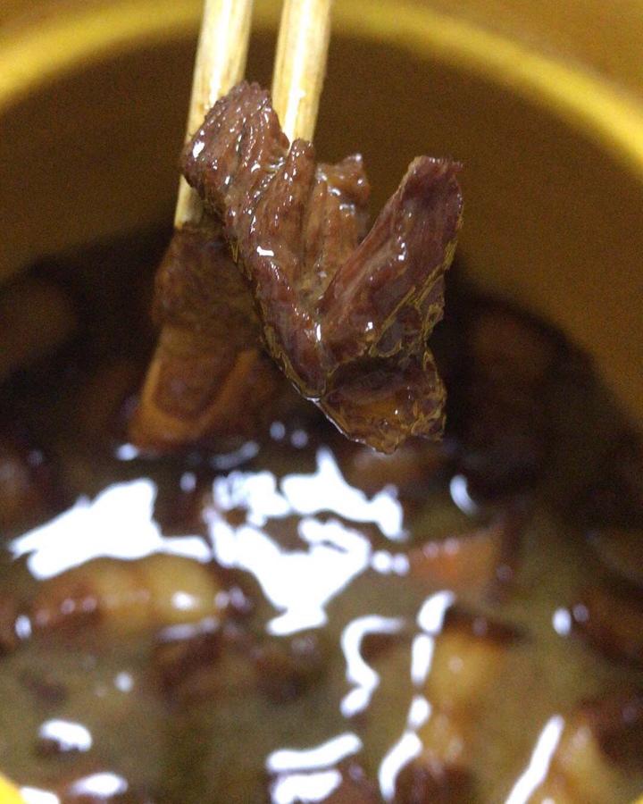 起床了小猫咪