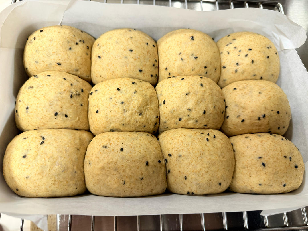 波兰种全麦面包🍞