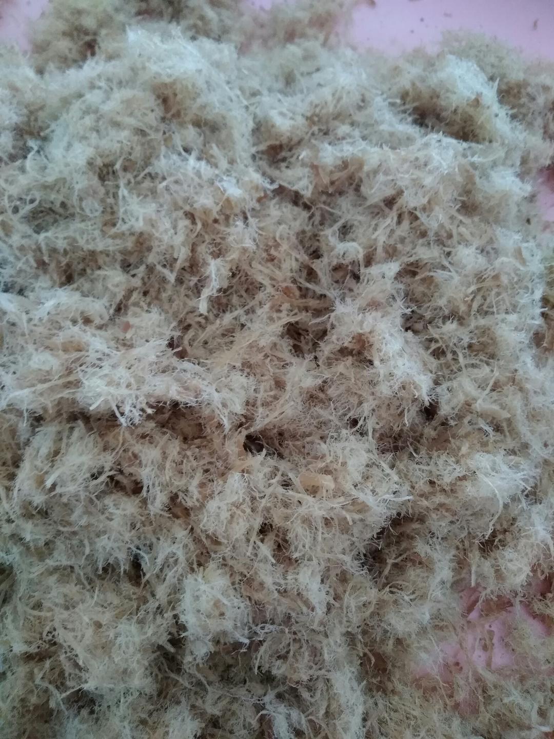 不用面包机也可以做出绒猪肉松（无油版）