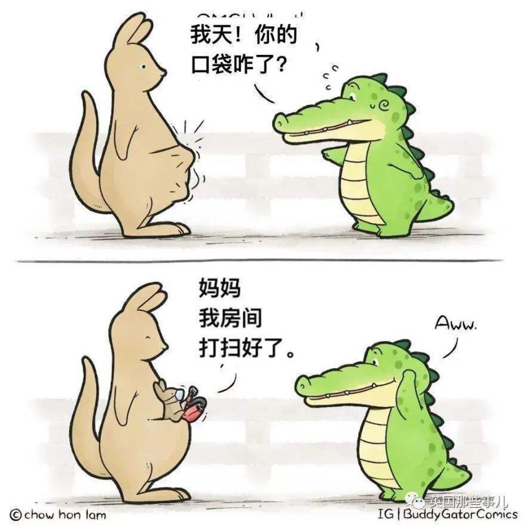 温暖的余光