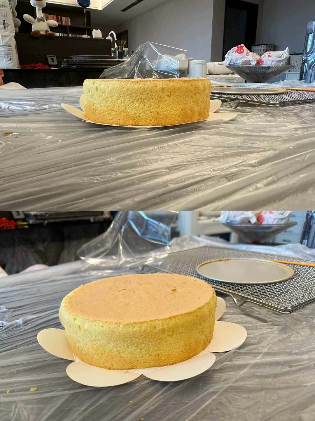 青井老师的椰香戚风