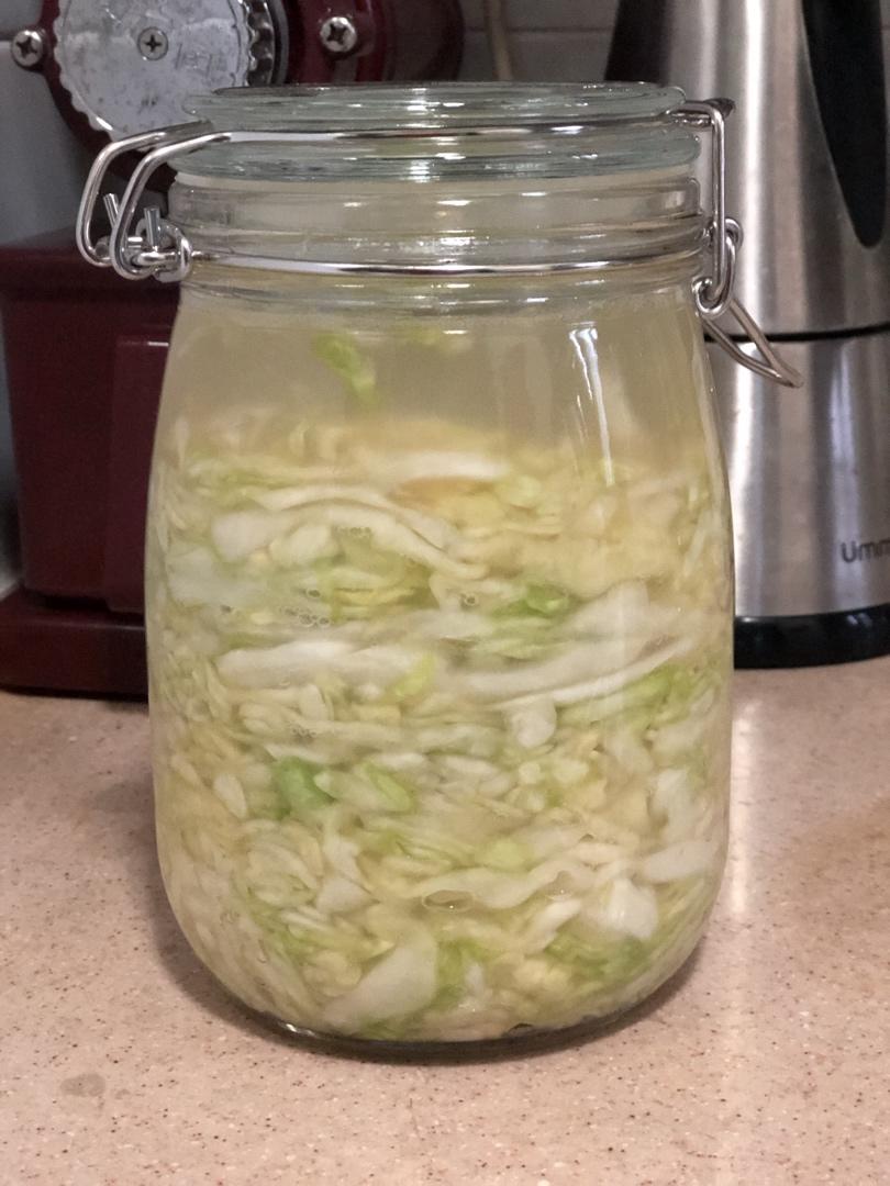 AIP饮食|益生菌发酵食物-基础德国酸菜