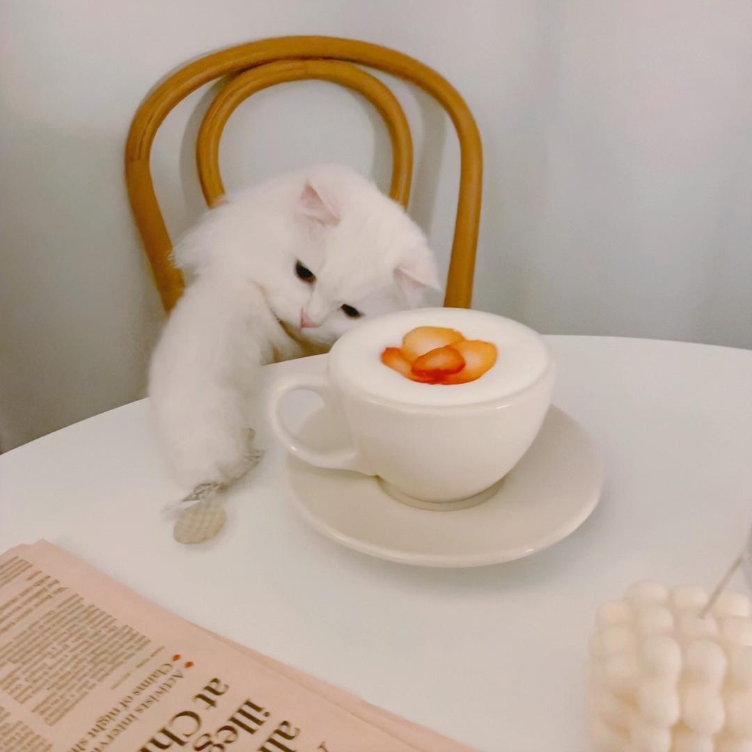 提溜圆圆圆