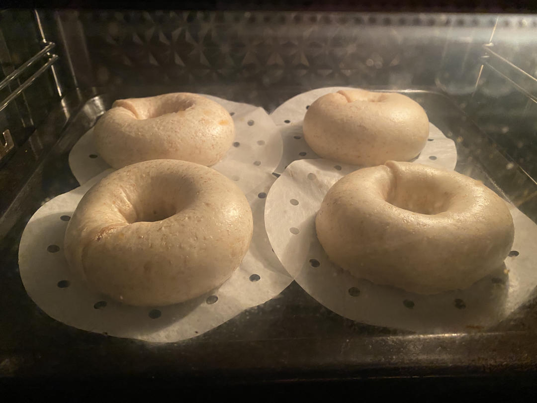 100%全麦贝果 基础纯全麦贝果