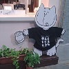 卡卡爱生活