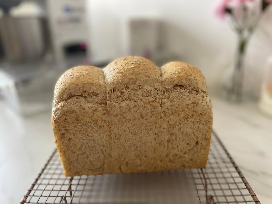 波兰种全麦吐司（40%全麦）