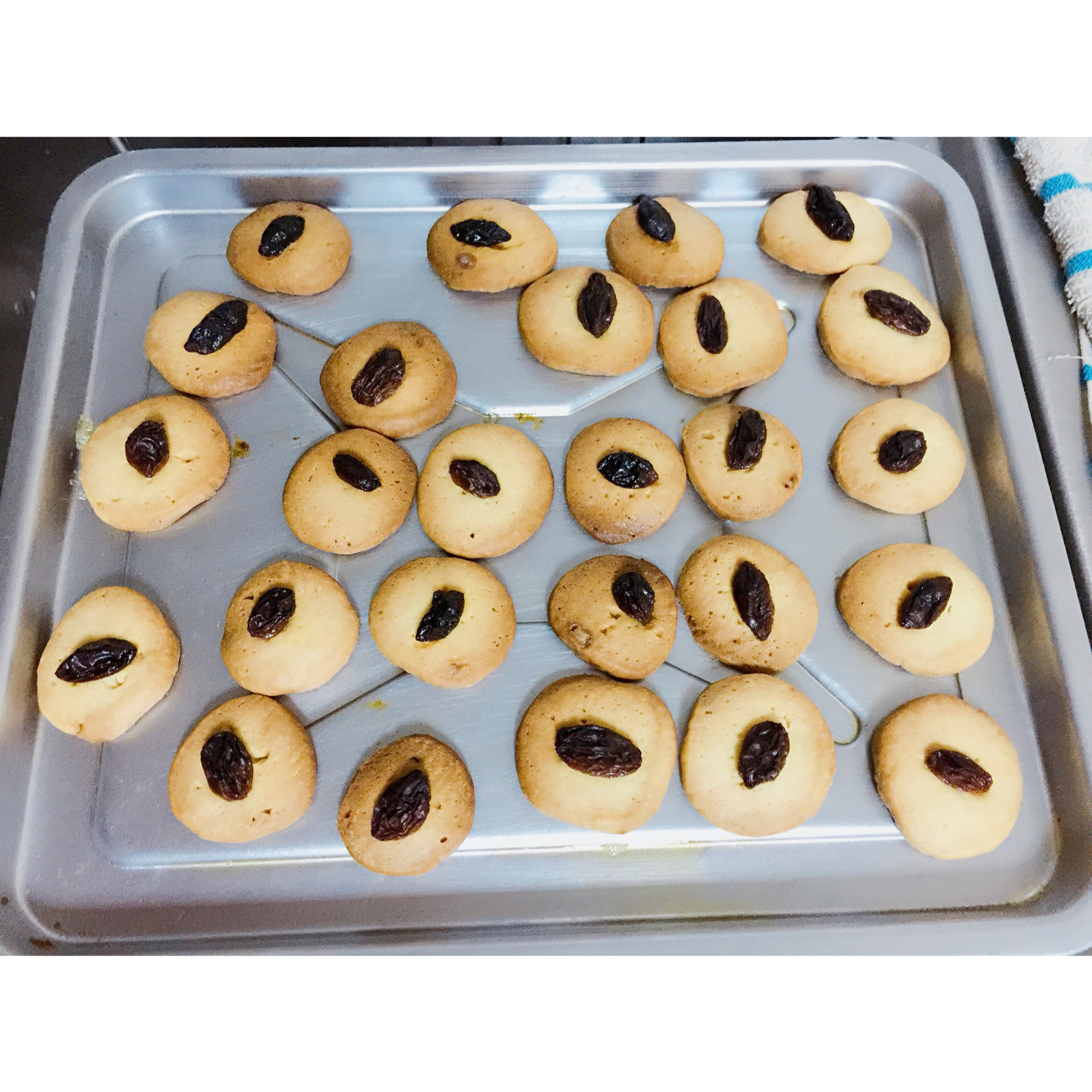 蔓越莓饼干--新手烘焙0压力 #皮黑森林#