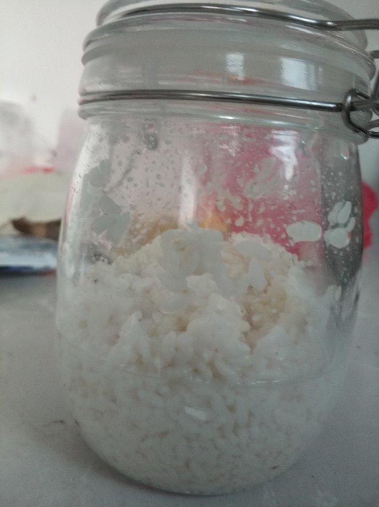 剩饭米酒【剩米饭醪糟】酒酿几个注意的地方