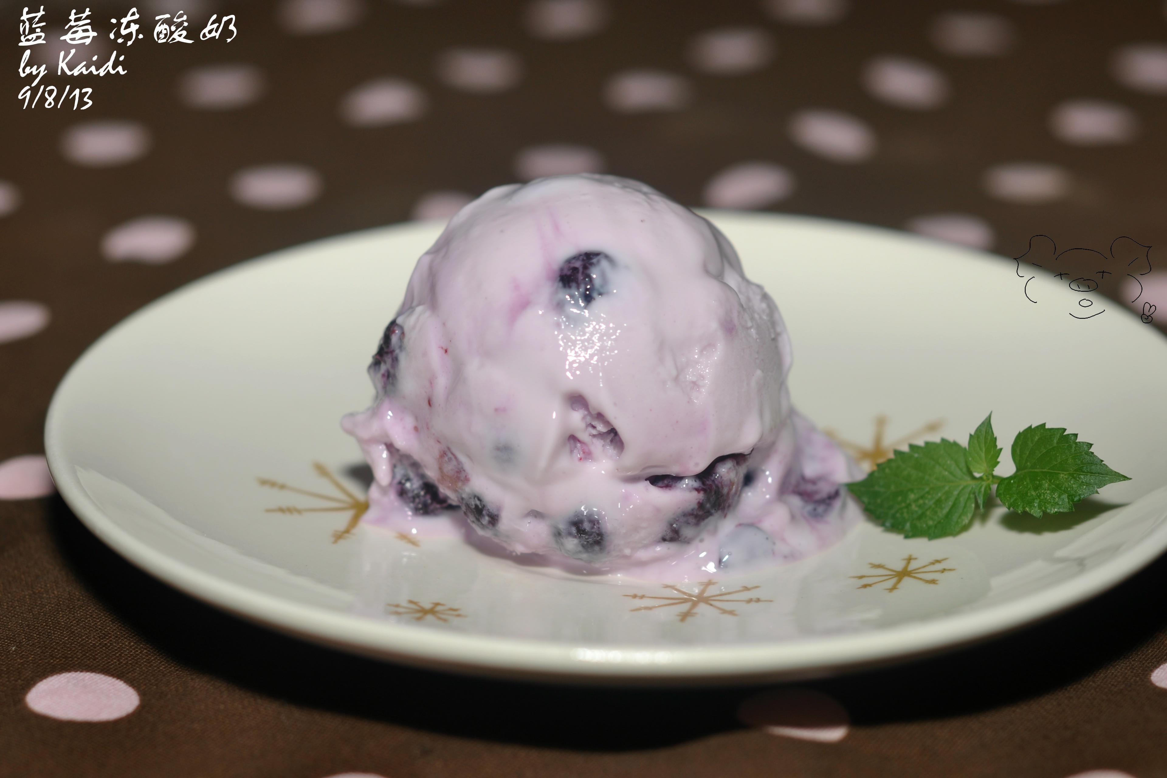 蓝莓冻酸奶 frozen yogurt的做法