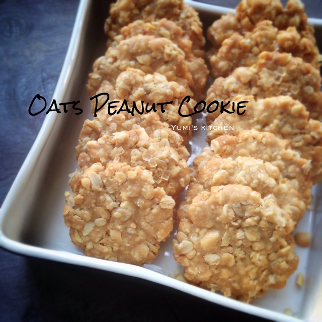 香喷喷的燕麦花生饼