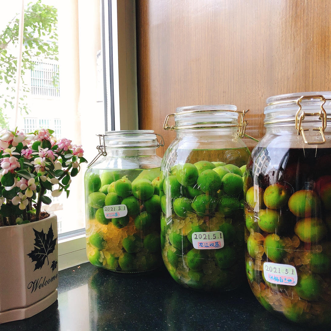 【青梅酒】梅子的沉醉时光（已填坑）