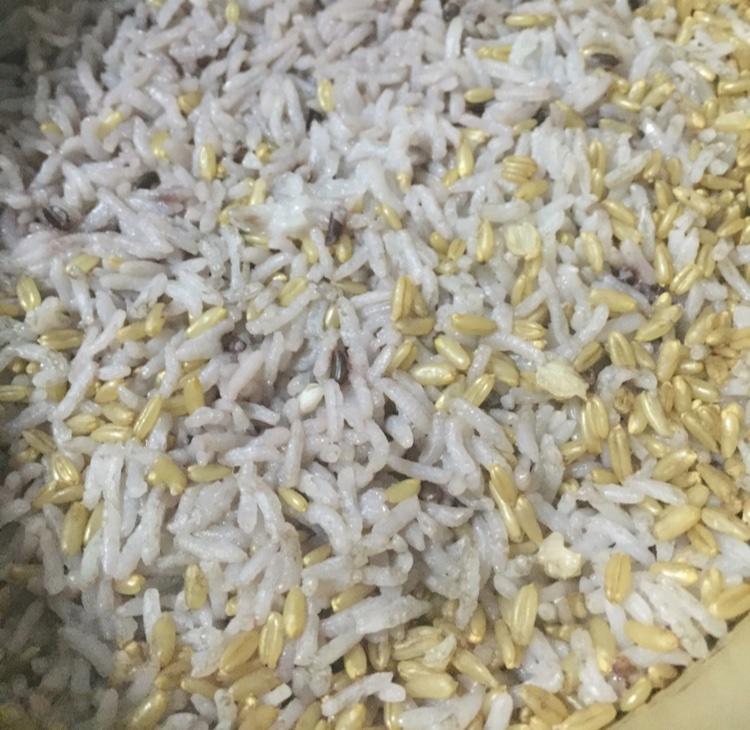 养生米饭的做法