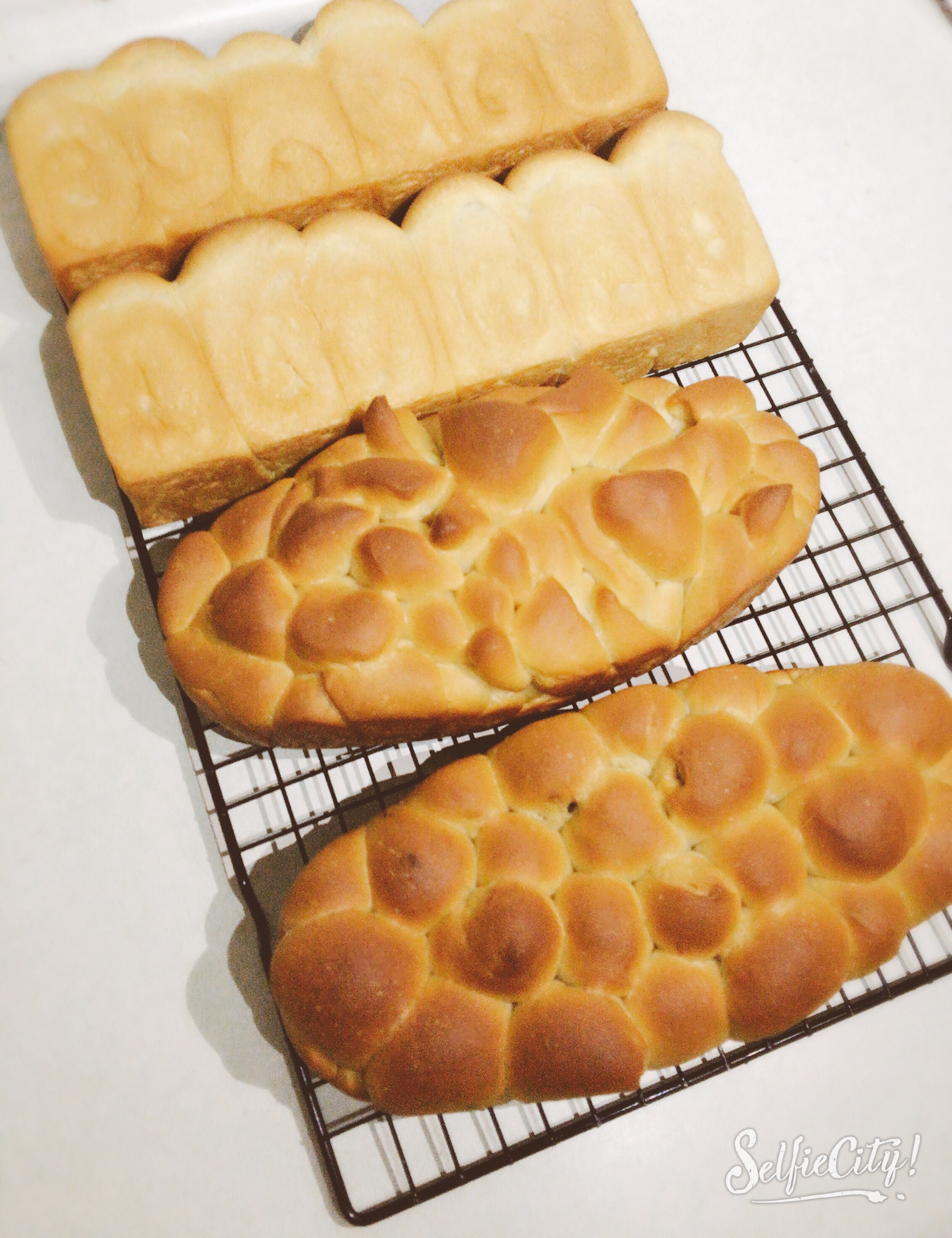 面包集合