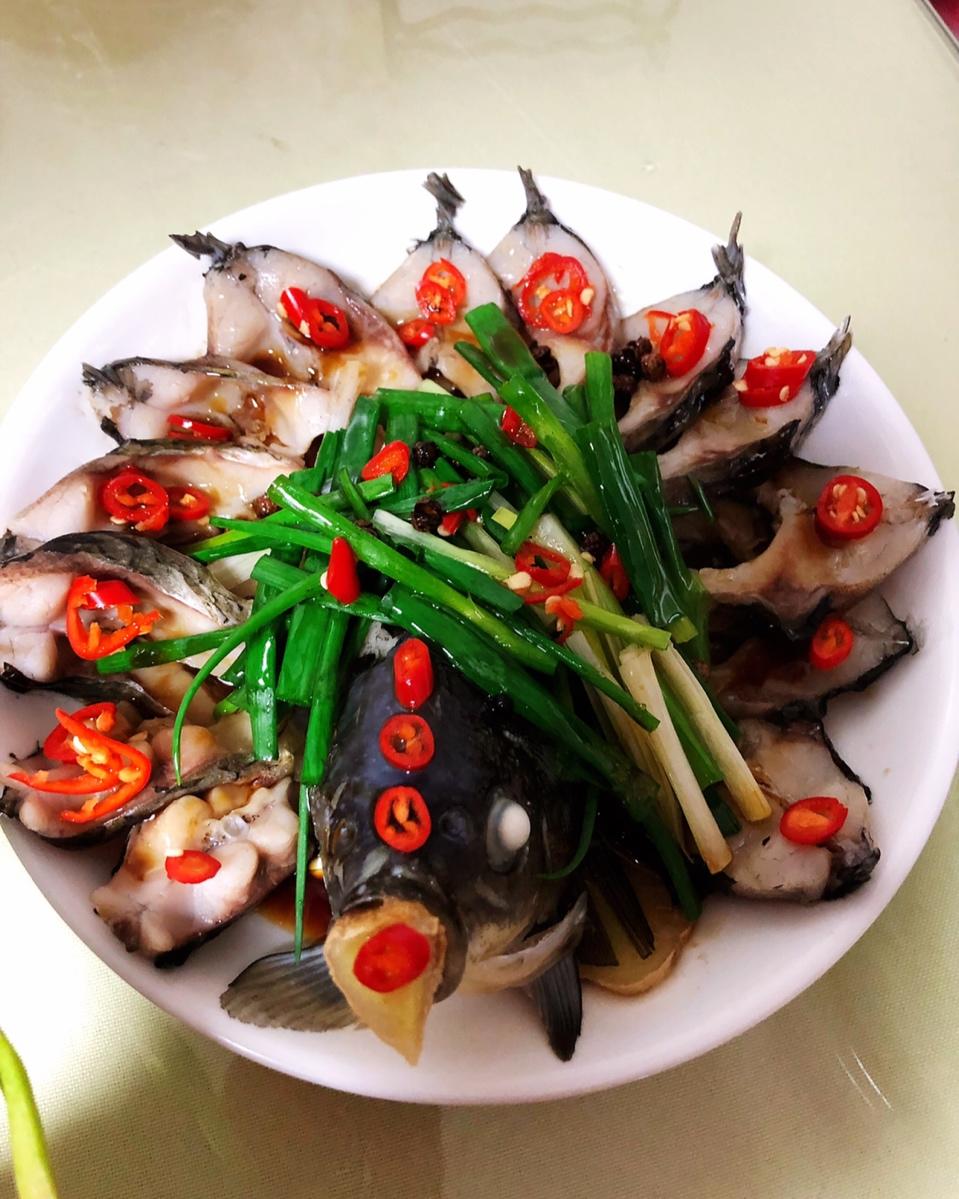 孔雀开屏鱼.