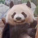 微信用户_ny9E_whaf