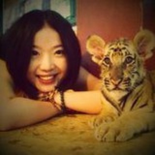 papa熊再生版