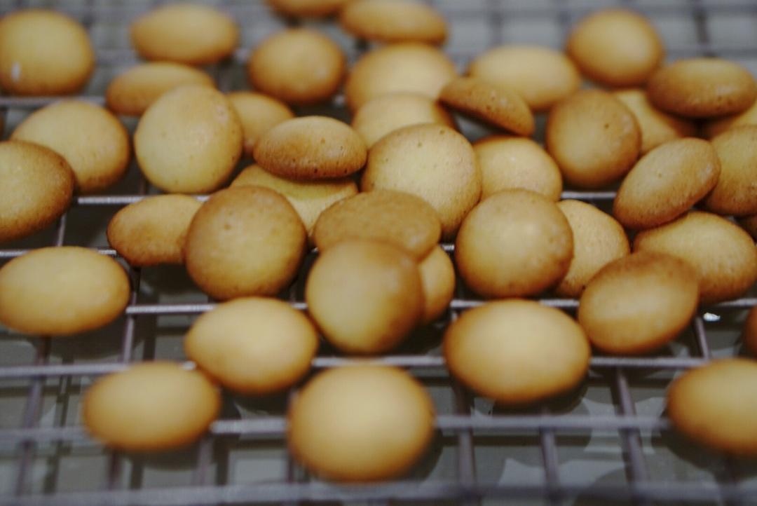 鸡蛋小饼干