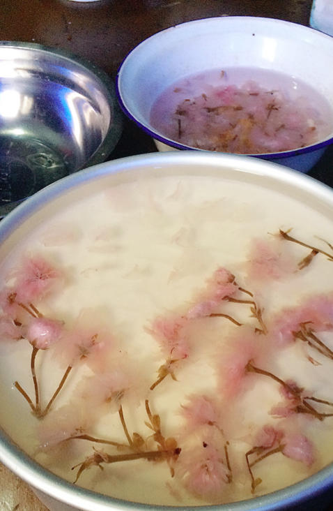 颜值超高的樱花慕斯