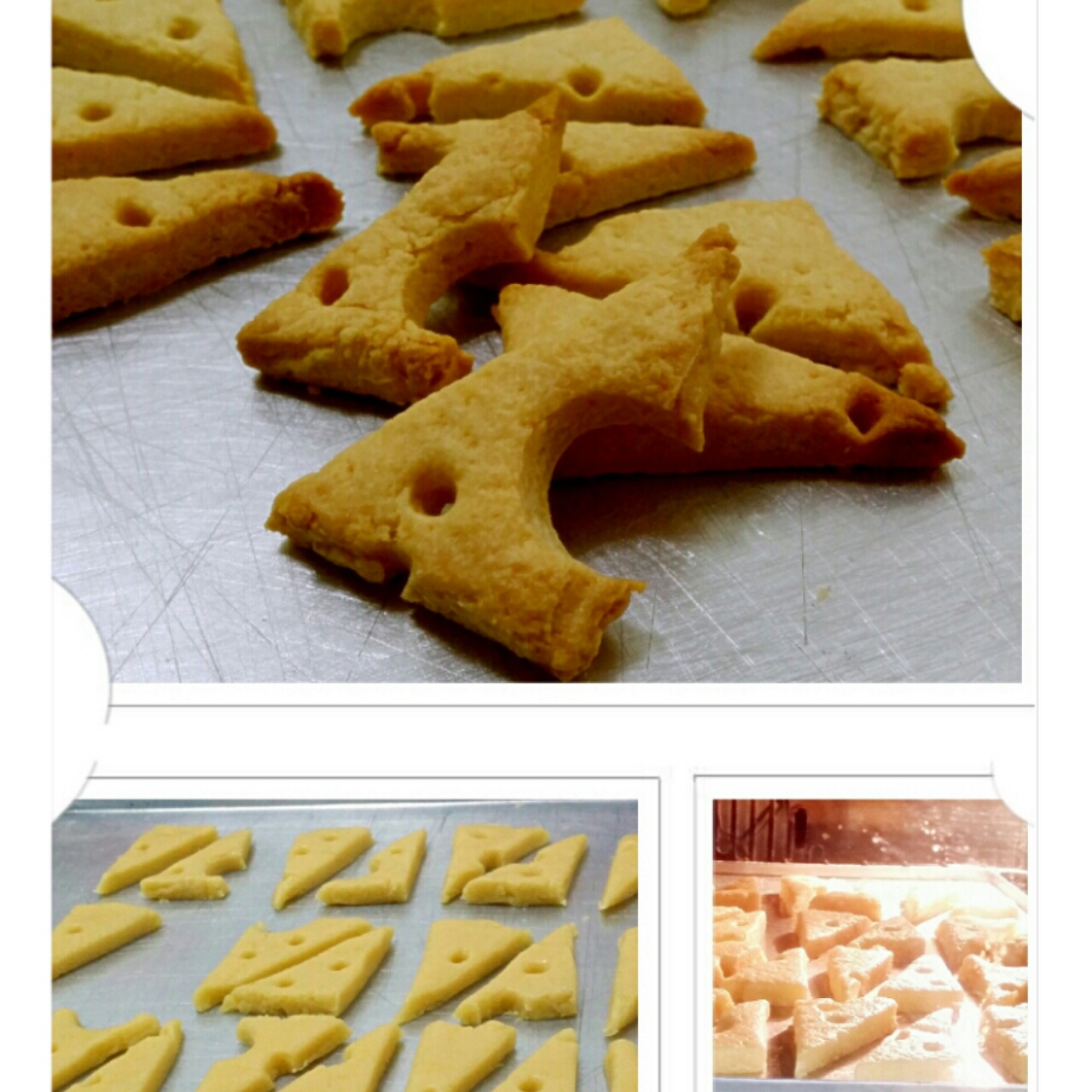 萌萌的奶酪饼干