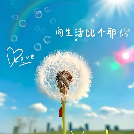 晴天-_666