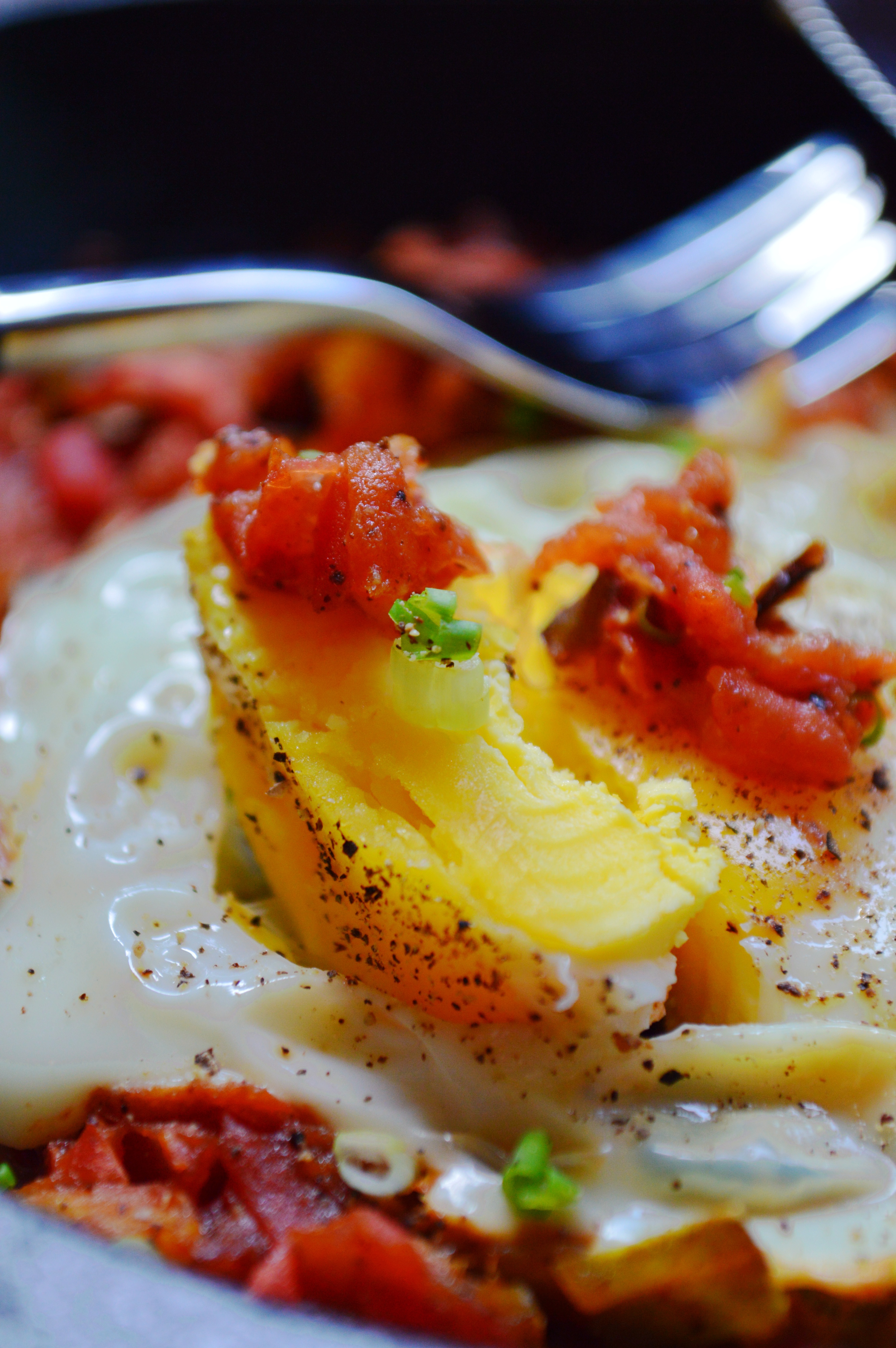 【终极烹饪课程】北非蛋