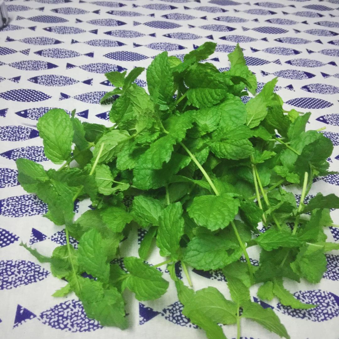 厨房种香草（tips大汇总…缓慢更新）