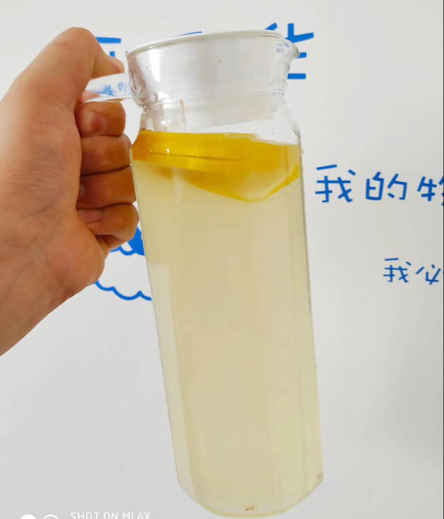 夏日清爽柠檬饮 Lemon Squash