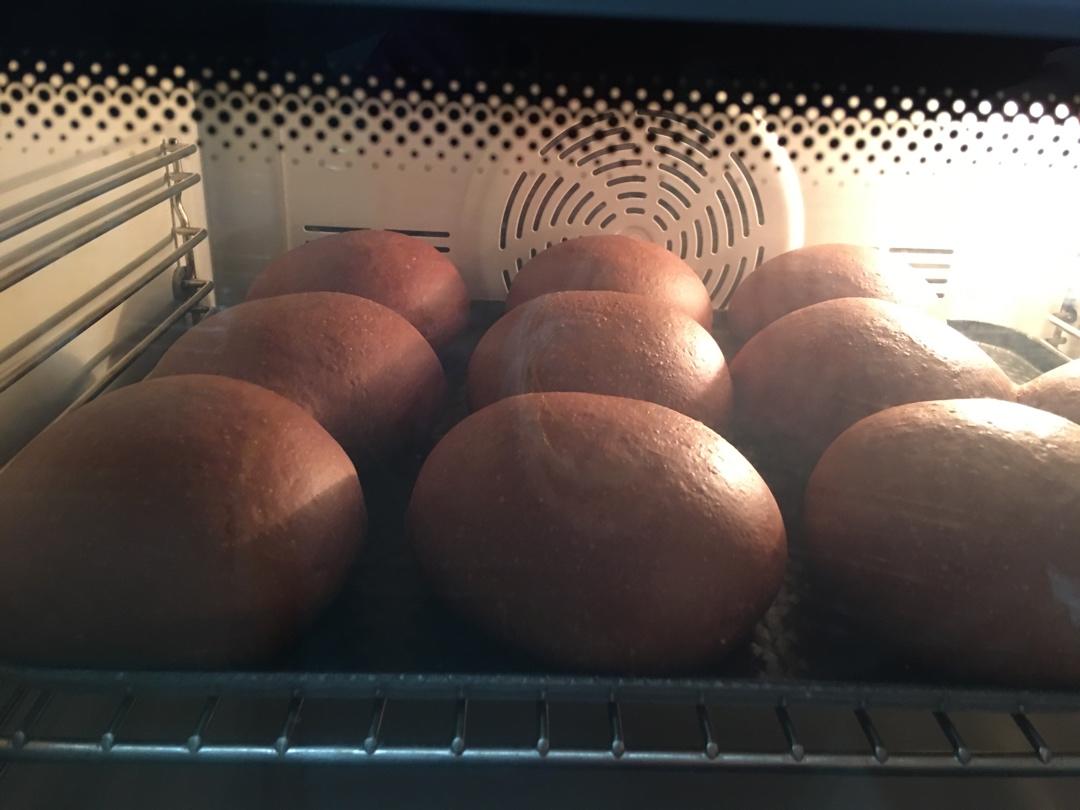 豪华版黑眼豆豆