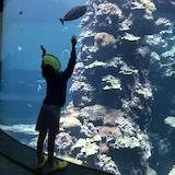 tutu_ricky