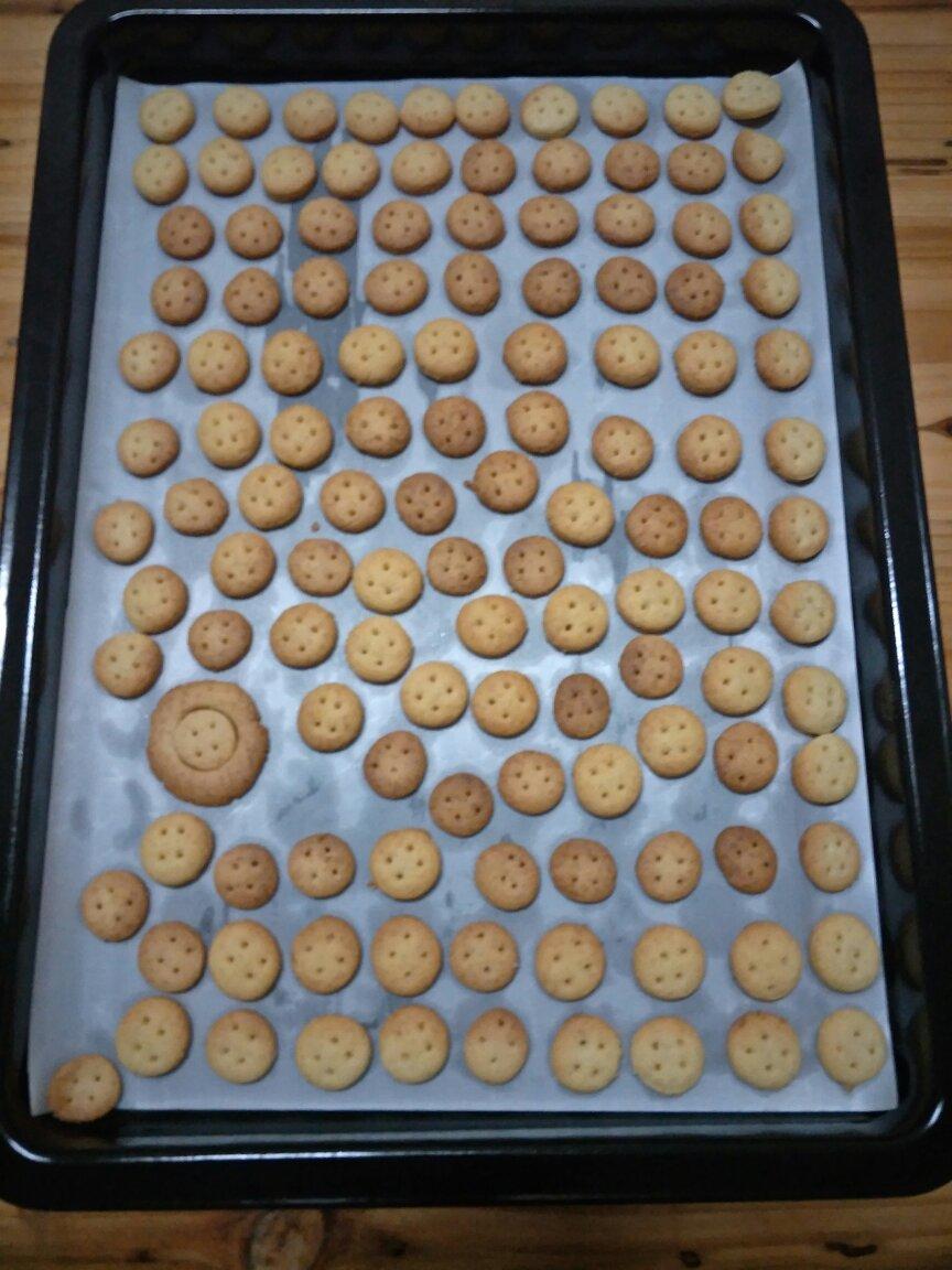 纽扣饼干┃萌到没朋友
