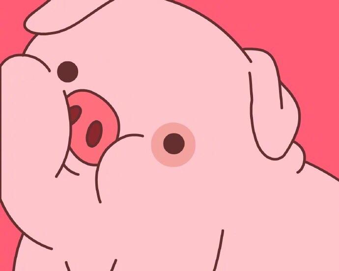 穷鬼开始带饭了