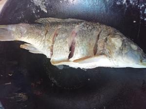 超级好吃的红烧鲤鱼的做法 步骤7