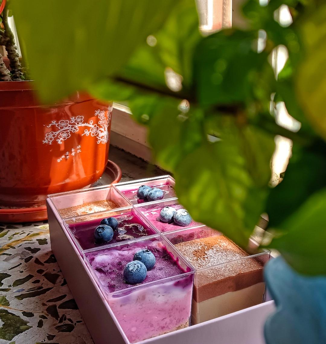 ⛱夏日免烤甜品🍓🫐高颜值莓果芝士蛋糕