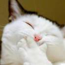 手机用户9993_b0f1