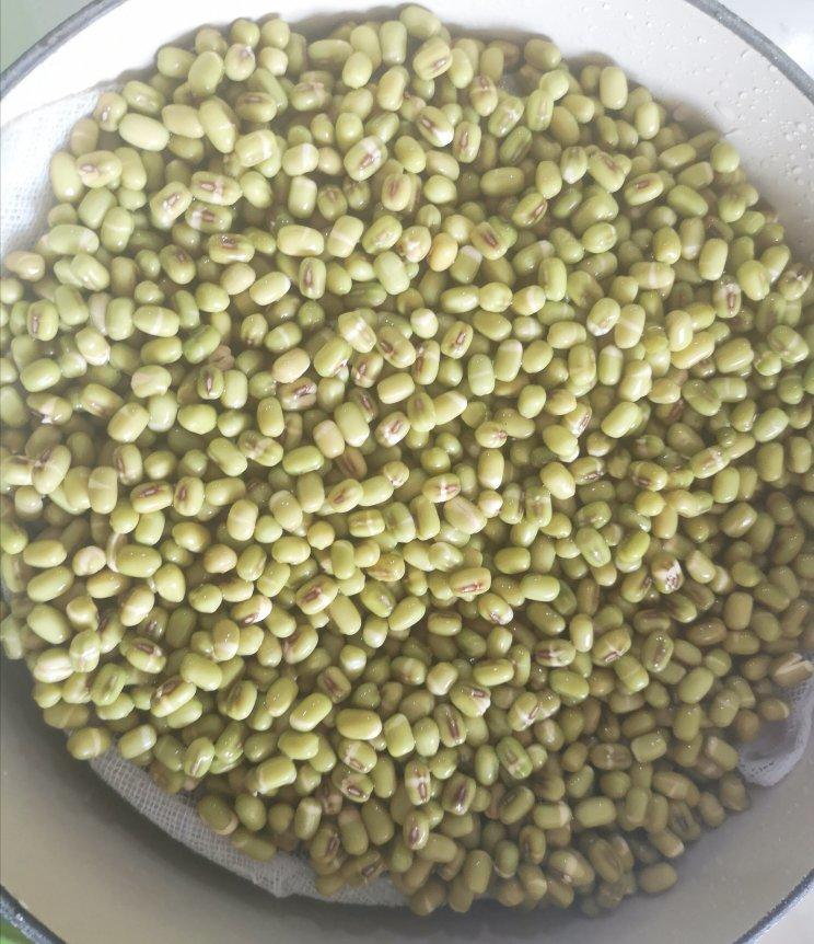 绿豆芽超简单