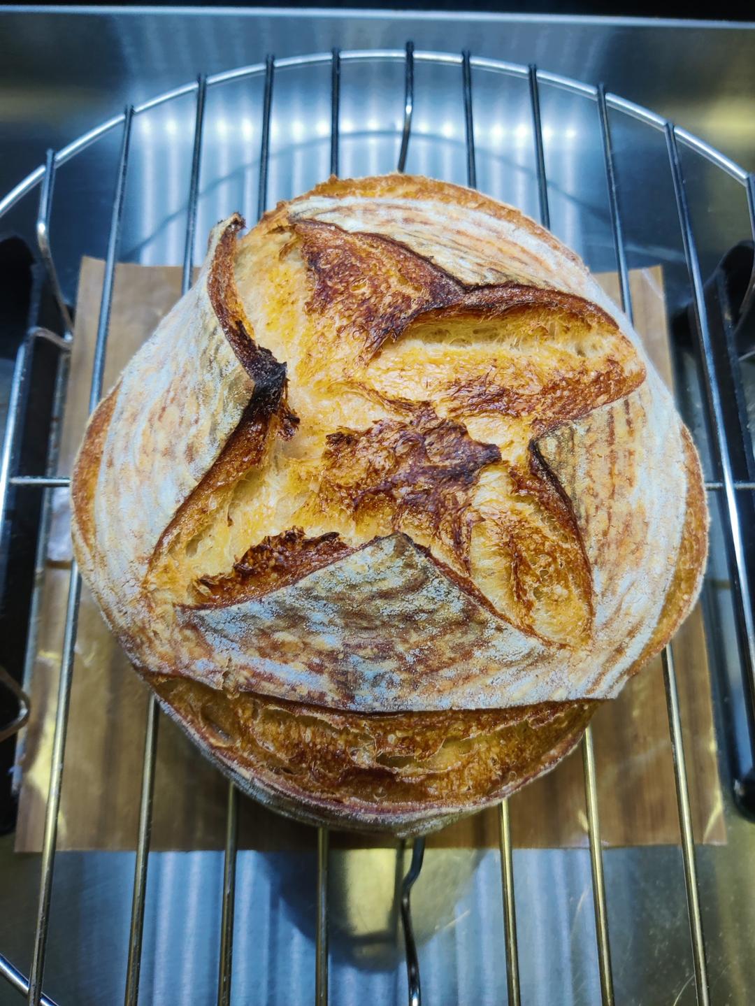 蜂巢面包 附鲁邦硬种