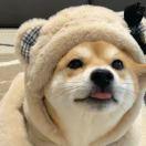 我有一台榨汁机