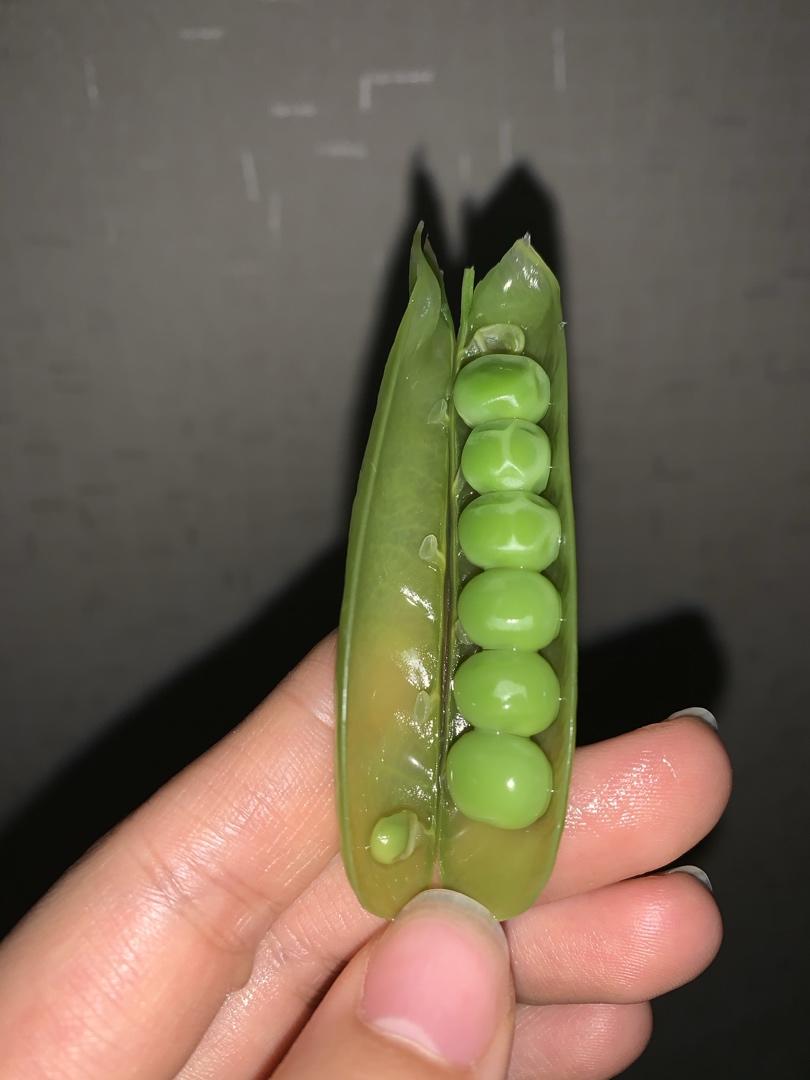 四季都能吃到的日式煮毛豆