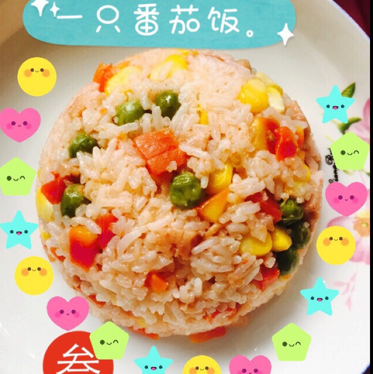 一只番茄饭