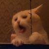 线茶
