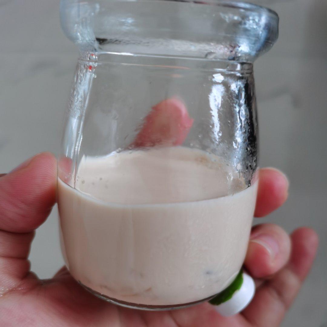 鱼胶炖奶教程--冻龄的小秘诀