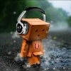 笨笨熊-52