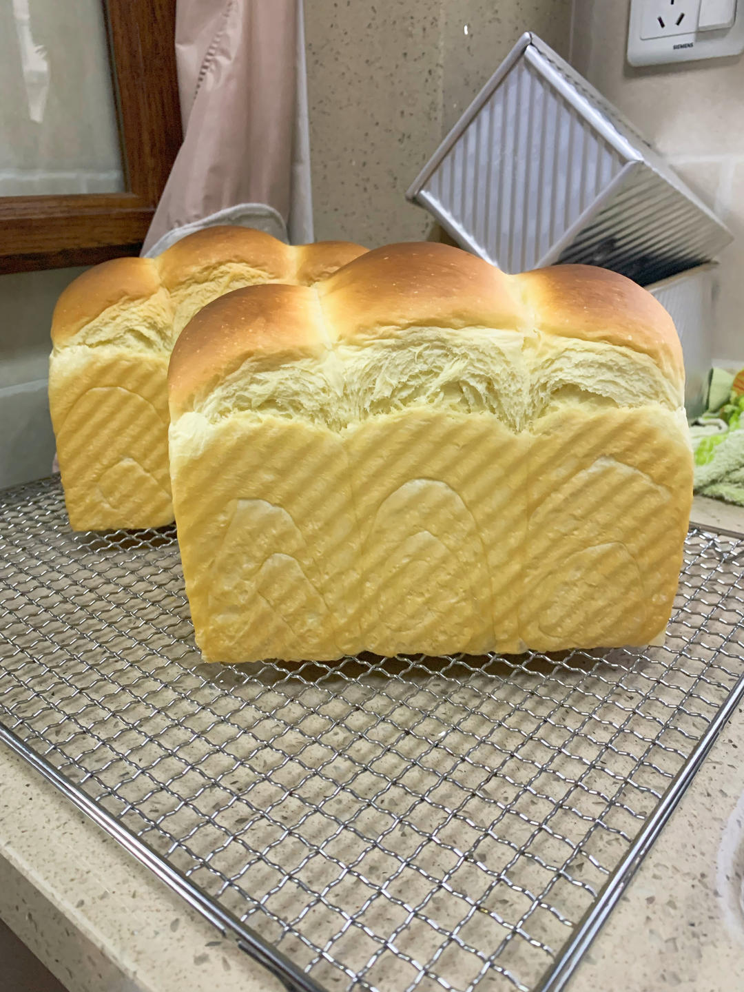 波兰种奶油吐司