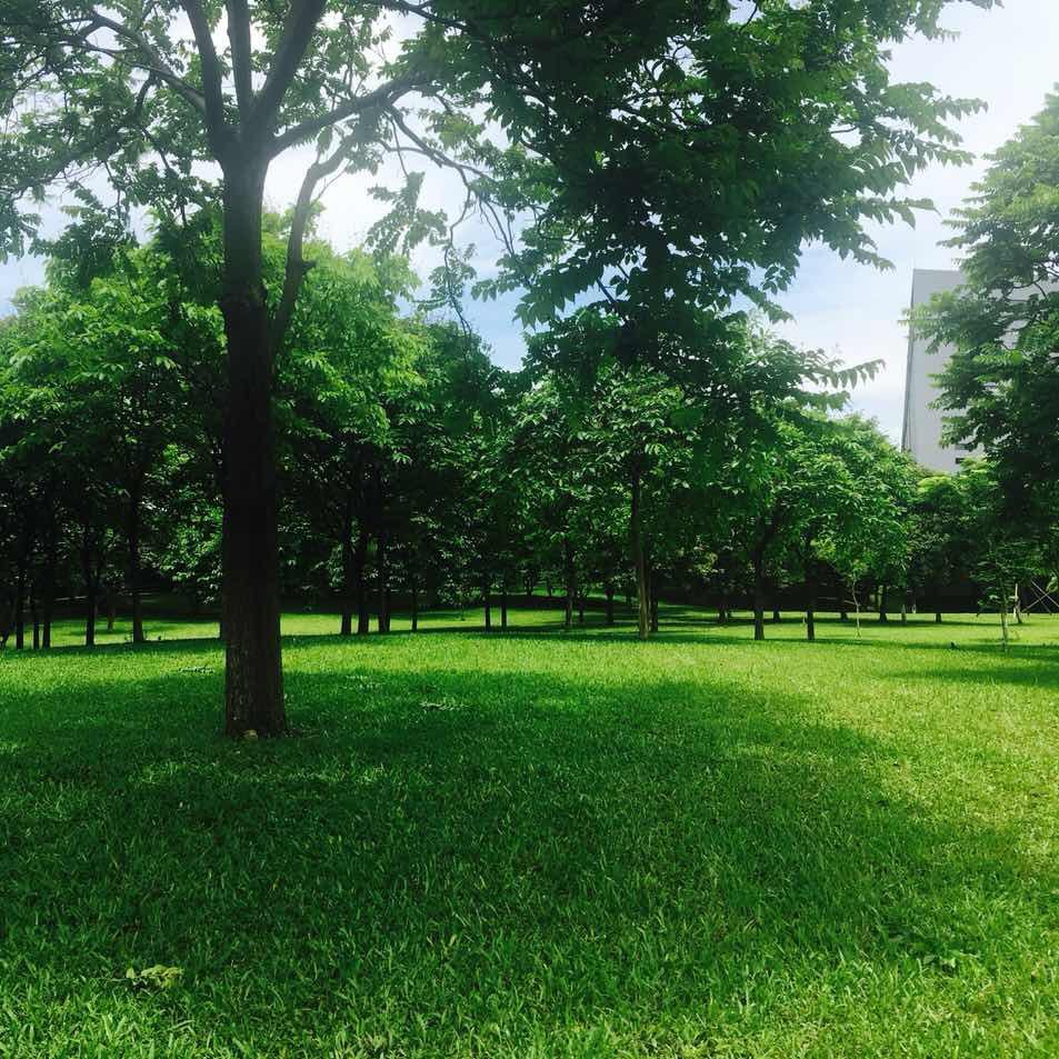 写作的剧情最重要