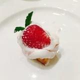 杨6