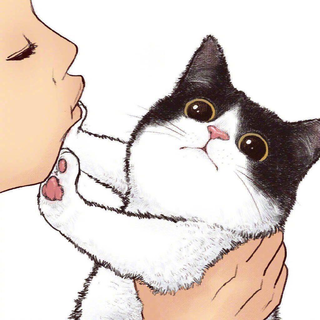 小鱼干来来来