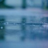 一颗杂粮馒头
