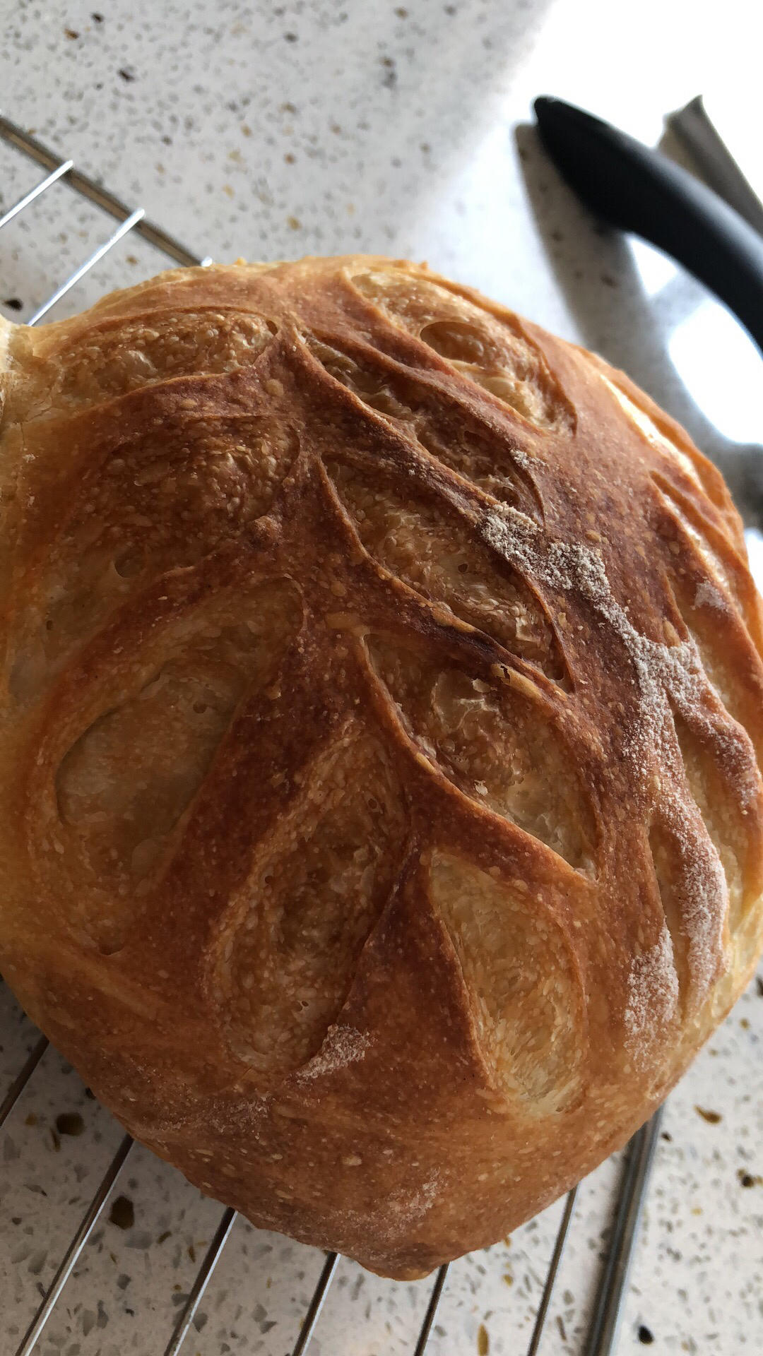 铸铁锅烤欧包【北鼎铸铁珐琅锅食谱】