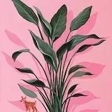 胡萝卜馅